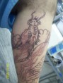 /album/tatuagens-em-andamento/tattoo-andamento-jpg/